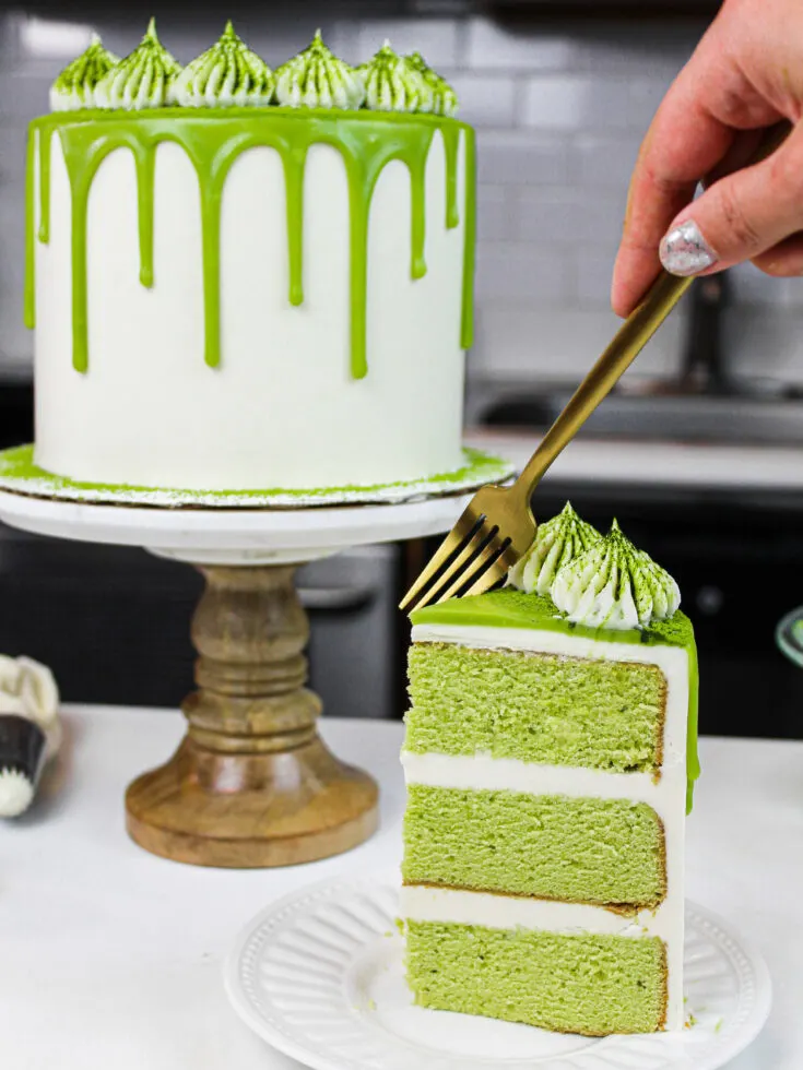 09. cake-slice-with-fork