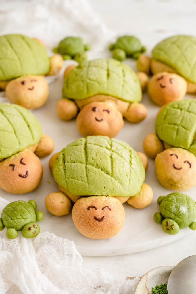 15-Vagan-Turtle-Shaped-Matcha Melon