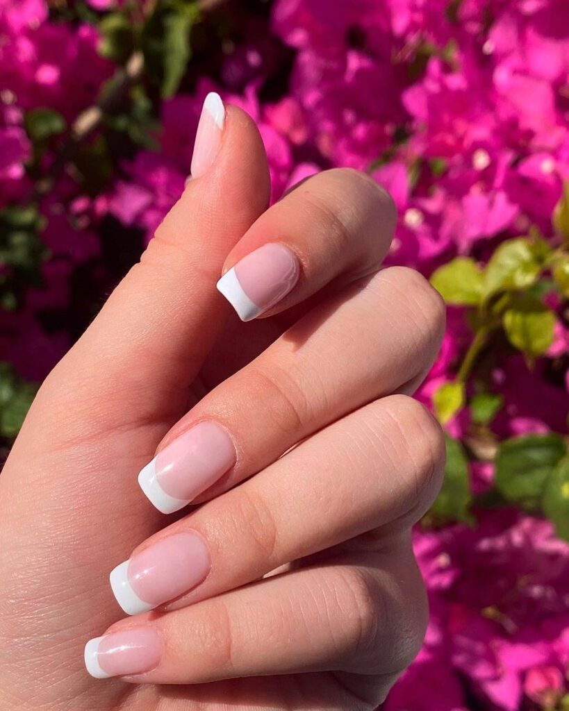 09-Natural Pink French Tips