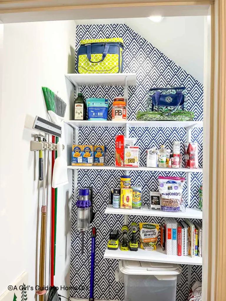 Cleaning-closet-under-stairs-organizing